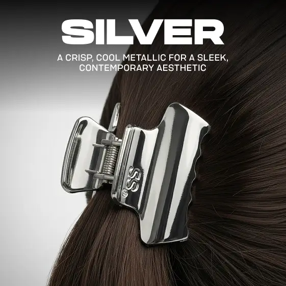 Silver color palette